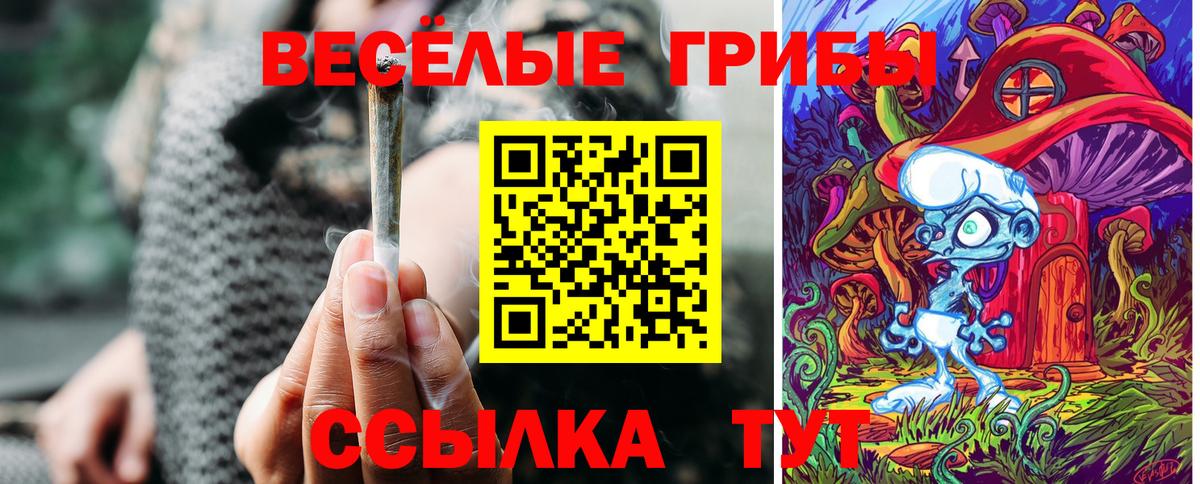 Галлюциногенные грибы мухоморы  Вход с VPN  цена   Волгоград 