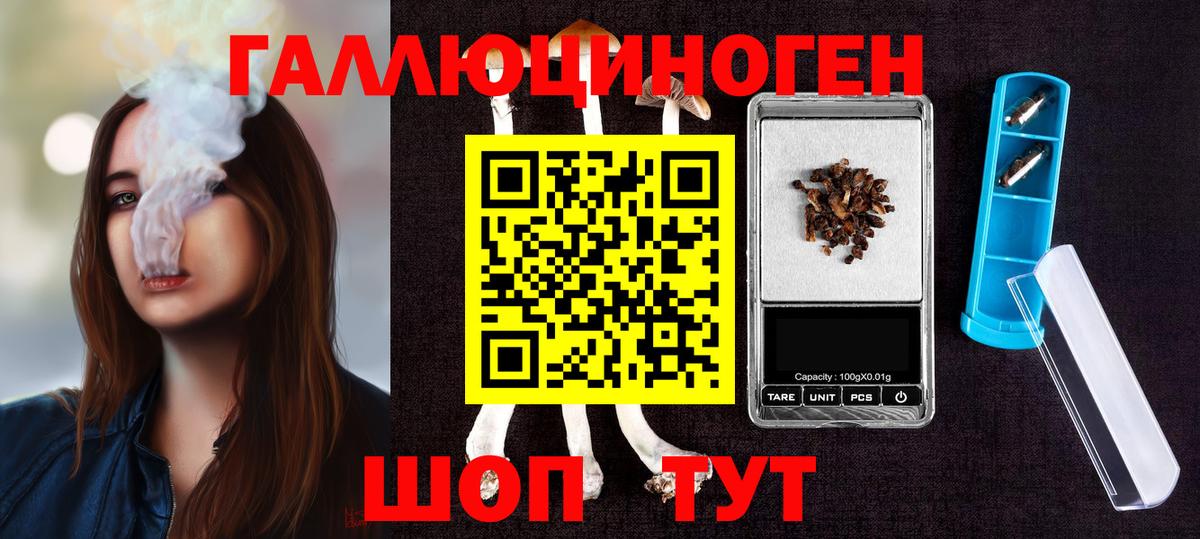Псилоцибиновые грибы Psilocybe Волгоград